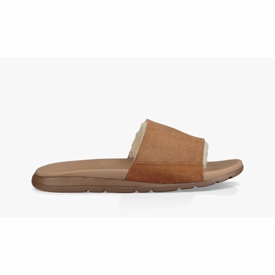 Chinelos UGG Xavier Twinface Slide Homem Marrom | PT-WGYIV